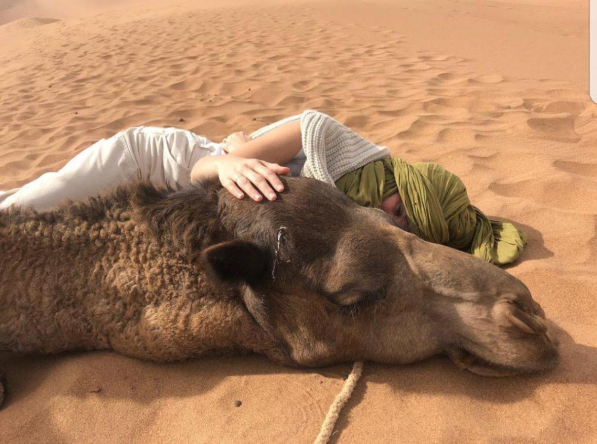 فندق Sahara Family Camp مرزوكة المظهر الخارجي الصورة